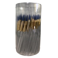 Nam Brush Canister Set Of 72. 12 Each Of Ruby Taklon Round 10/04 .Flat 614. Angular 1/4 And #2 Filbe