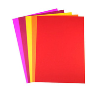 Photocopy Paper Fluoro 80Gsm A4 Packet Of 100 Assorted Colours