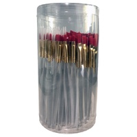Nam Brush Canister Set Of 72. 12 Each Of Ruby Taklon Round 10/04 .Flat 614. Angular 1/4 And #2 Filbe