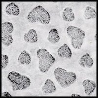Handmade Lace Paper 226Gsm White Grid 56 X 80Cm Packet Of 5