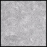 Handmade Lace Paper 226Gsm White Grid 56 X 80Cm Packet Of 5