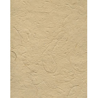Recycled Paper 100Gsm Phuket Beach 56 X 78Cm Packet Of 5