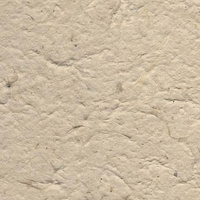 Recycled Paper 100Gsm Water Festival 56 X 78Cm Packet Of 5