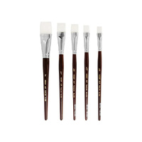 Neef Brush Series 987 White Taklon Short Flat 1 Inch 25Mm