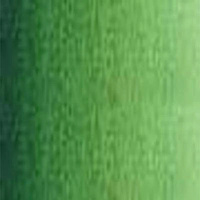 Art Prism Student Quality Water Colour 10Ml Sap Green