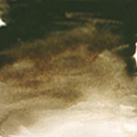 *Limited Stock* Archival Oil 120Ml Series 1 Raw Umber
