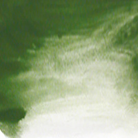 *Limited Stock* Archival Oil 40Ml Series 1 Cobalt Green Hue