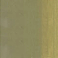 Art Spectrum Artists Oil 40Ml Series 1 Australian Green Grey