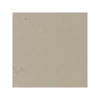 Art Spectrum Artists Oil 40Ml Series 1 Unbleached Titanium