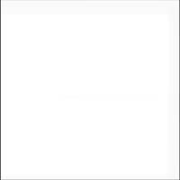 Art Spectrum Artists Oil 40Ml Series 2 Clear Oil