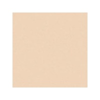 Art Spectrum Colourfix Pastels Australian Grey Packet Of 6 Of One Colour