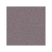 Art Spectrum Colourfix Pastels Elephant Packet Of 6 Of One Colour