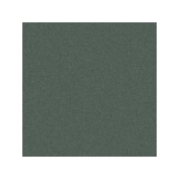 Art Spectrum Colourfix Pastels Leaf Green Dark Packet Of 6 Of One Colour