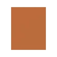 Art Spectrum Colourfix Pastels Raw Sienna Packet Of 6 Of One Colour