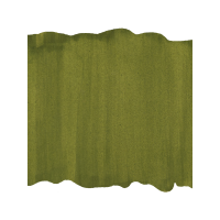 Art Spectrum Artists Pigmented Ink 500Ml Sap Green