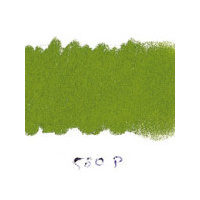 Art Spectrum Soft Pastel Australian Leaf Green Light P580 Packet Of 6 Of One Colour