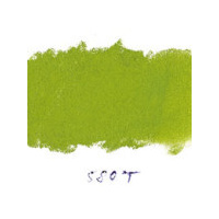 Art Spectrum Soft Pastel Australian Leaf Green Light T580 Packet Of 6 Of One Colour