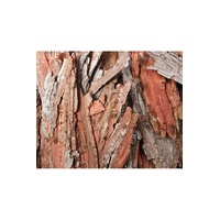 Bark Pieces.250Gram Asstd Pieces