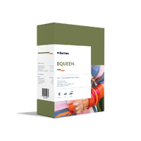 Bqueen Quick Setting Translucent Resin Set 925g 