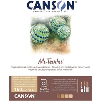 Mi-Teintes 160 Pad Brown Tones 24X32Cm 20Sh  