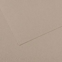 Mi-Teintes 160 Sheet 50 X 65 Cm - Pkt Of 10 Flannel Grey 122