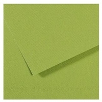 Mi-Teintes 160 Sheet 50 X 65 Cm - Pkt Of 10 Apple Green 475