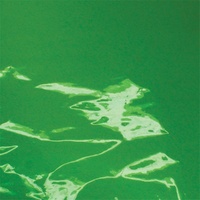 CELLOPHANE 620 X 1000MM SINGLE SHEET GREEN