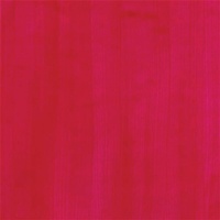 Chroma2 Washable Student Paint 2L Cool Red