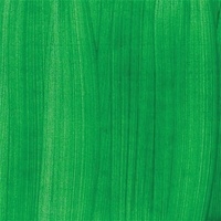 Chroma2 Washable Student Paint 2L Green Deep