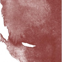 Daler Rowney System 3 Acrylic Ink 29.5Ml Burnt Sienna