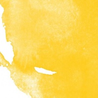 Daler Rowney System 3 Acrylic Ink 29.5Ml Cadmium Yellow Hue