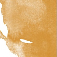 Daler Rowney System 3 Acrylic Ink 29.5Ml Yellow Ochre
