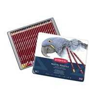 Derwent Artists Pastel Pencils Tin Of 24 Assorted Colours