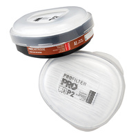 Dust Filter Replacements Class P2 Box Of 2 Filters