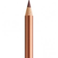 Faber-Castell Polychromos Artists Quality Pencils Box Of 6 Of One Colour 252 Copper