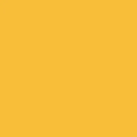 Fw Ink 29.5Ml Brilliant Yellow