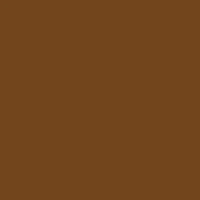 Fw Ink 29.5Ml Burnt Umber