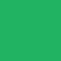 Fw Ink 29.5Ml Emerald Green