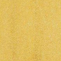 Fw Ink 29.5Ml Pearlescent Autumn Gold