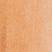 Fw Ink 29.5Ml Pearlescent B Wing Cop