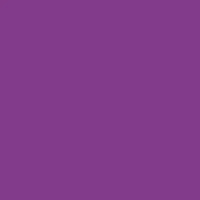 Fw Ink 29.5Ml Purple Lake