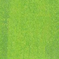Fw Ink 29.5Ml Pearlescent Macaw Green