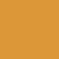 Fw Ink 29.5Ml Raw Sienna