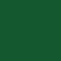 Fw Ink 29.5Ml Sap Green