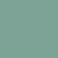 Fw Ink 29.5Ml Shimmer Green