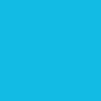 Fw Ink 29.5Ml Turquoise