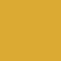 Fw Ink 29.5Ml Yellow Ochre