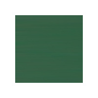 Viponds Gloss Acrylic Mural Paint Group 4 1L State Green