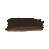Jo Sonja Acrylic 250Ml Series 1 Burnt Umber