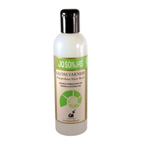 Jo Sonja Polyurethane Gloss Varnish 250Ml